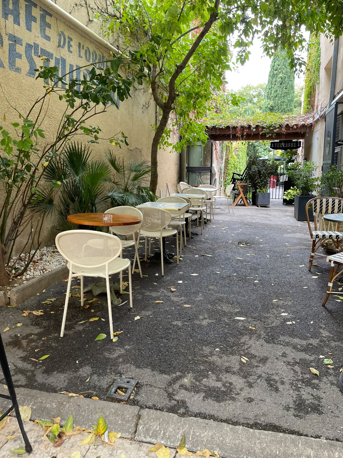 L’ORMEAU — miniature 2